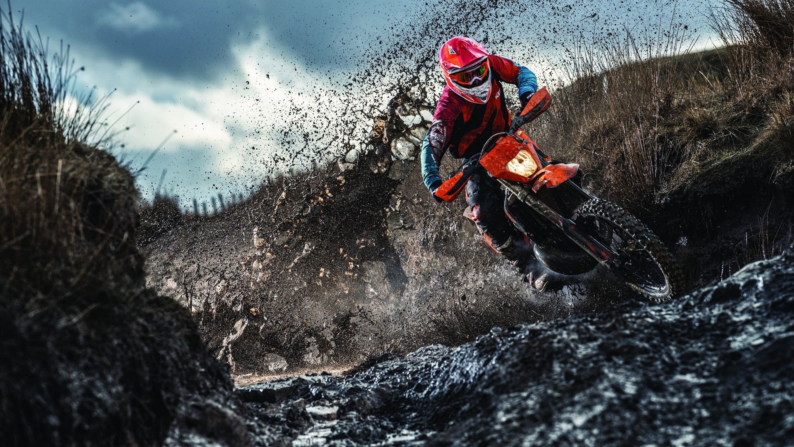 新王登基之夜，班凯罗爆发，雷霆万钧决胜局带走国王